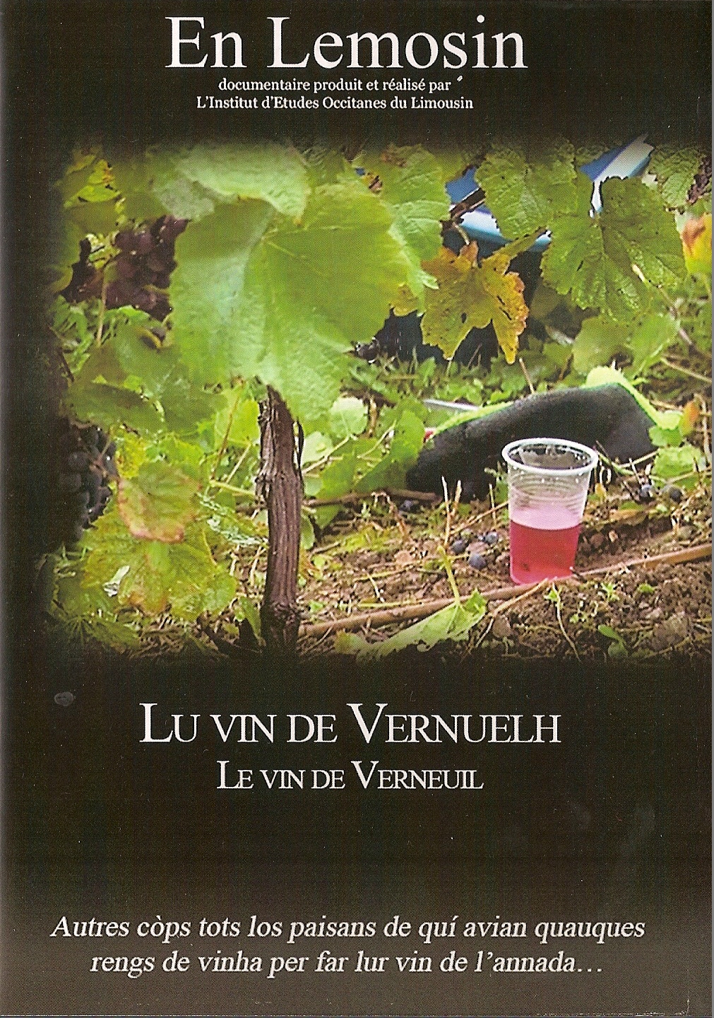 vin-vernuelh